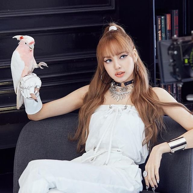 Lalisa Manoban Bio Net Worth, Age, Career, Images, Family Background ...