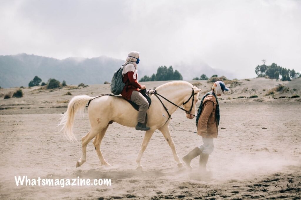 How Far Can a Horse Travel In A Day