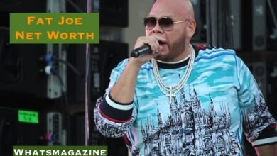 Fat Joe Net Worth