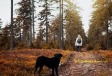 best time to visit the florida keys