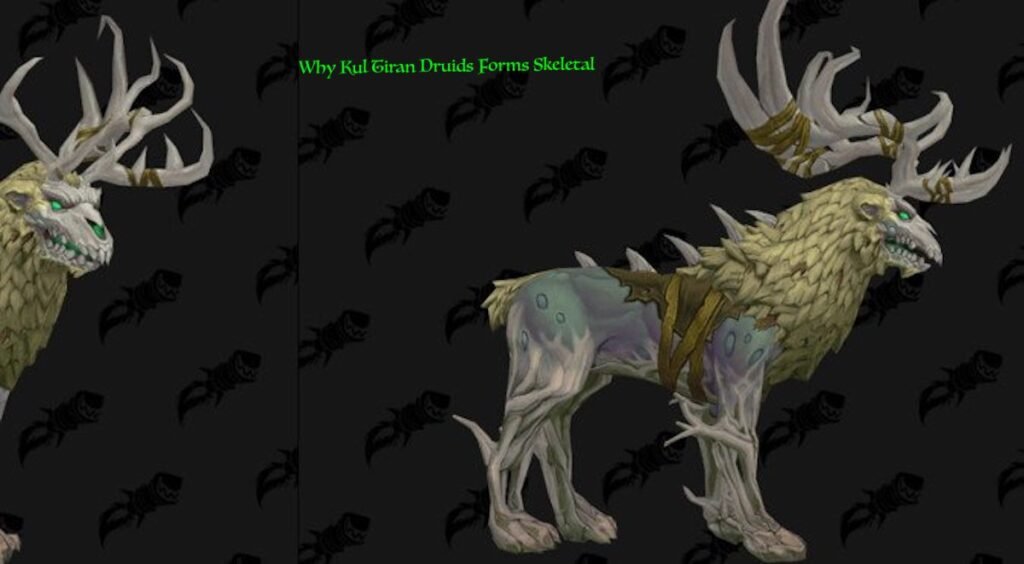 Kul Tiran Druid Forms