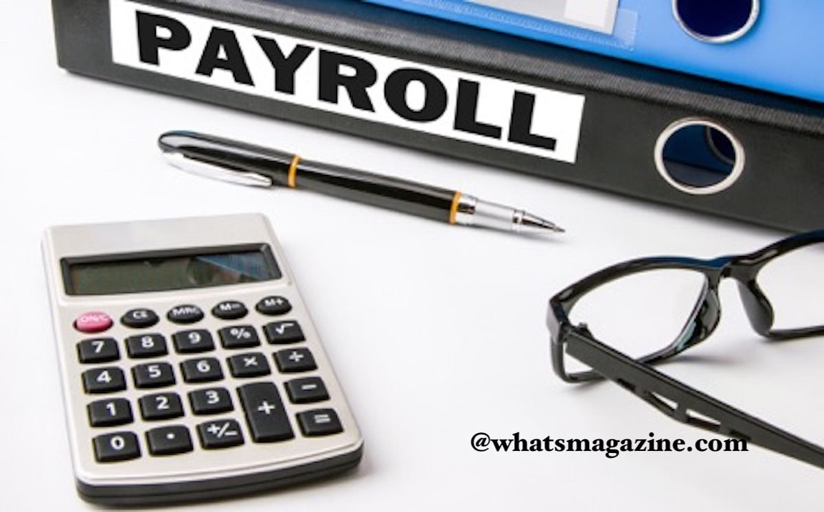 The Brief Guide That Makes Processing Payroll Accurate and Simple
