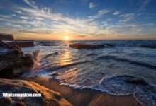 what is the disney vacation club