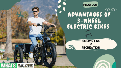 3-Wheel Electric Bikes