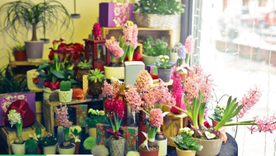 Flowers