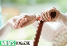 Walking Sticks