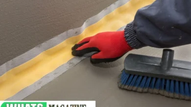 Basement Encapsulation Going Green for Your Home