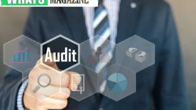 Hiring Process for Tax Auditor Jobs at the IRS Tips and Tricks