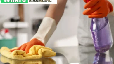 VIP Cleaning Sustainable Solutions for a Luxurious Clean