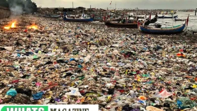 How Recycled Plastic Toys Are Fighting Against Plastic Pollution