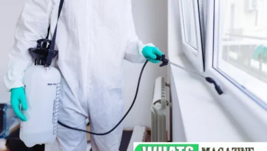 How Indoor Mosquito Fogger Method Can Protect Your Home and Family