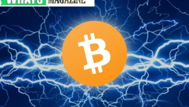 Bitcoin's Lightning Network