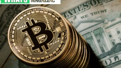 Growth of Digital Currency