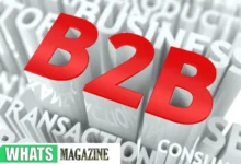 Maximizing B2B Sales The Best Prospecting Tools for Success