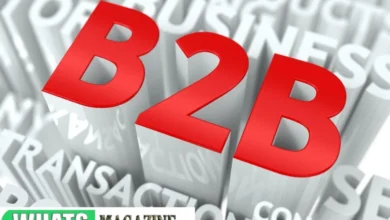 Maximizing B2B Sales The Best Prospecting Tools for Success