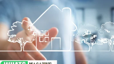 Real Estate SEO Expert