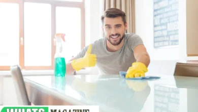 Eco-Friendly Apartment Cleaning Solutions for Your Carpet