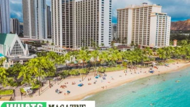 Timeshare Lawyers Cost?