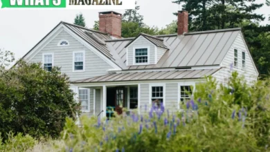 6 Beginner's Guides in Navigating the Home Buying Process