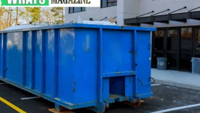 Home Renovation Projects