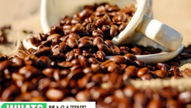 Surprising Health Benefits of Espresso Coffee Beans You Need to Know