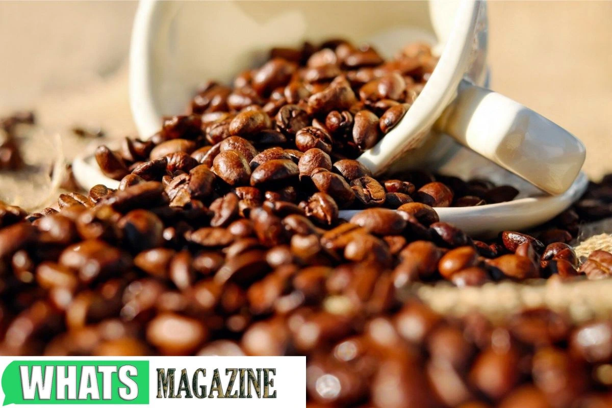 Surprising Health Benefits of Espresso Coffee Beans You Need to Know