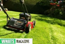 Do I Need a Lawn Mower Blade Sharpener for Cleaner Cuts?