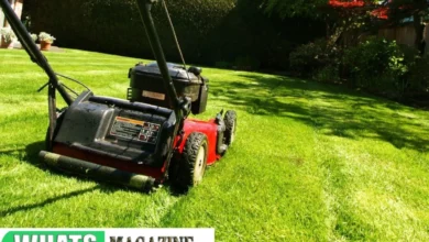 Do I Need a Lawn Mower Blade Sharpener for Cleaner Cuts?