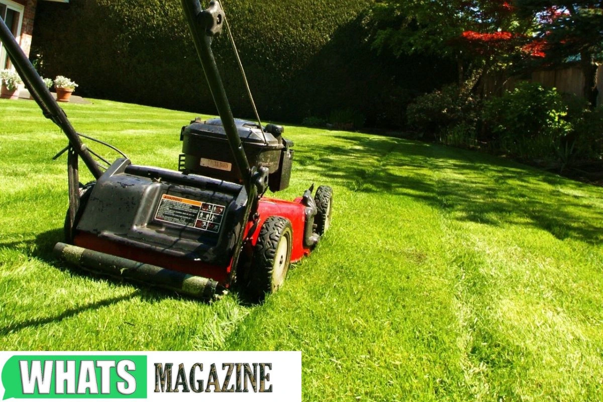 Do I Need a Lawn Mower Blade Sharpener for Cleaner Cuts?