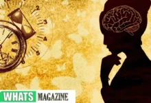 How to Pursue a Career as a Psychology Technician