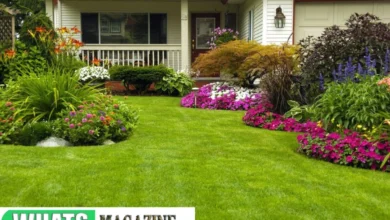 Transforming Your Backyard The Benefits of Hiring Residential Landscaping Services