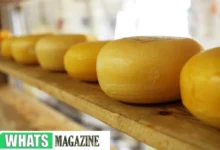 A Beginner's Guide to 5 Long-Lasting Dutch Cheese Varieties
