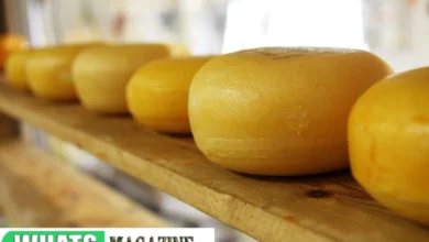 A Beginner's Guide to 5 Long-Lasting Dutch Cheese Varieties