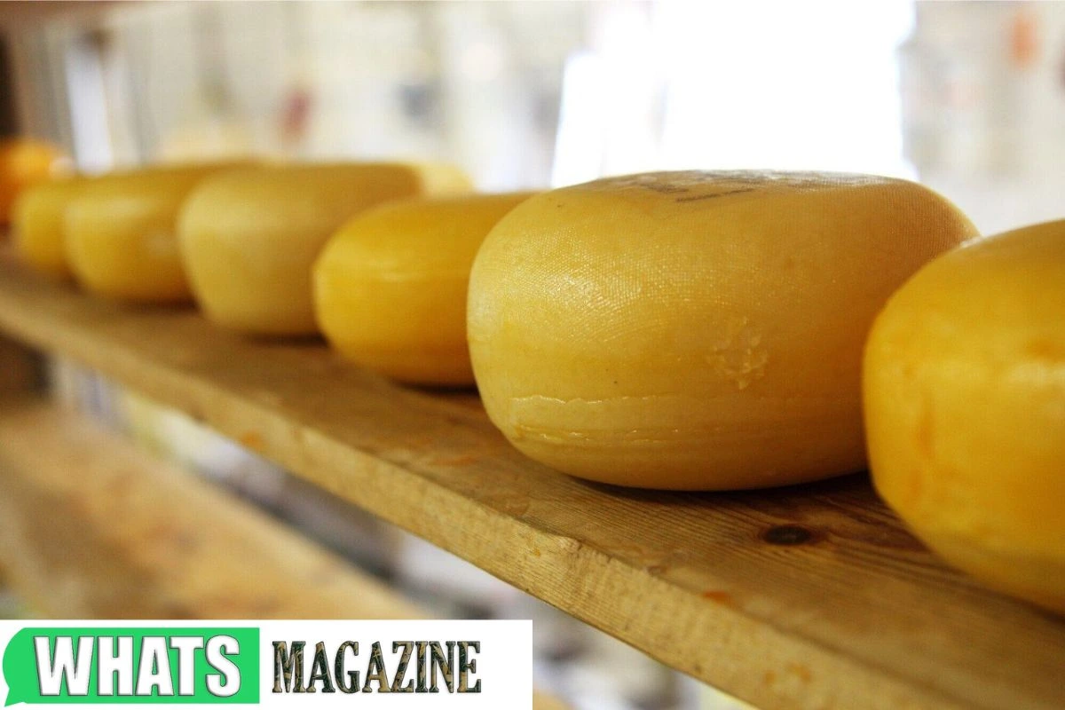 A Beginner's Guide to 5 Long-Lasting Dutch Cheese Varieties