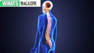 Chiropractic Adjustments in Correcting Vertebral Subluxation