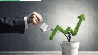 Income vs Growth Investing in 401k and 403b Plans