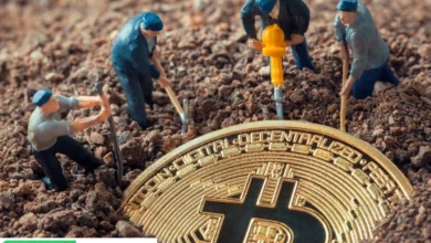 Antminer S21 for Cryptocurrency Mining