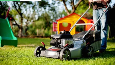 Mulching Services Can Improve the Health and Growth of Your Plants