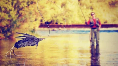 A Guide to the Best Fly Fishing Gear for Beginners