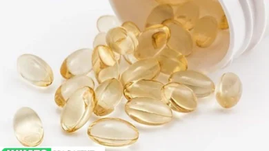 Dogs From Digestive Health to Joint Support