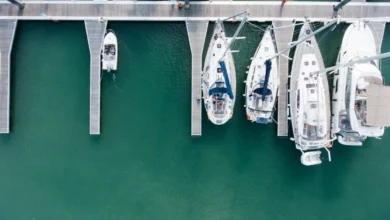 Technology and Innovation in the Hands of Dock Masters on the Future of Dock Management