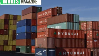 Exploring the Versatility of 40-Foot Shipping Containers in the Shipping Industry