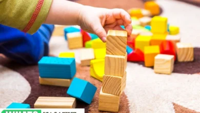 The Impact of a Quality Early Childhood Education on Your Small Child