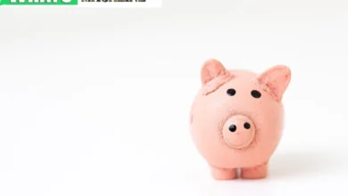 Navigating Crypto Investment Risks Strategies for Preservation of Capital