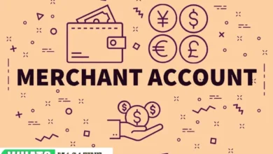 Virtual Merchant The Future of Online Retailing?