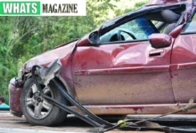 How a Car Insurance Lawyer Can Help You Maximize Your Claim Payout