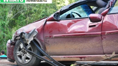 How a Car Insurance Lawyer Can Help You Maximize Your Claim Payout