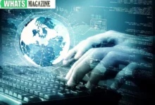 Best Framework for Web Development