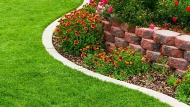 Mastering the Art of Garden Edges and Shapes